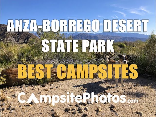 Anza-Borrego Desert State Park Best Campsites