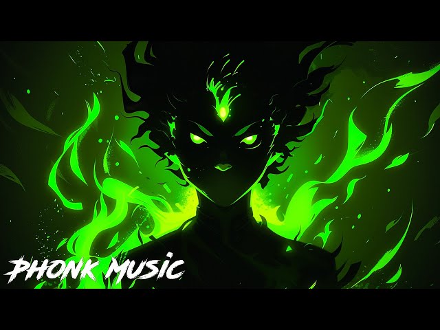 Phonk Music 2024 ※ Best Aggressive Phonk & TikTok Phonk ※ Фонка #3