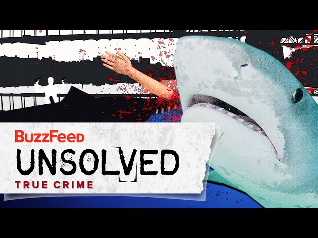 The Unusual Australian Shark Arm Murders