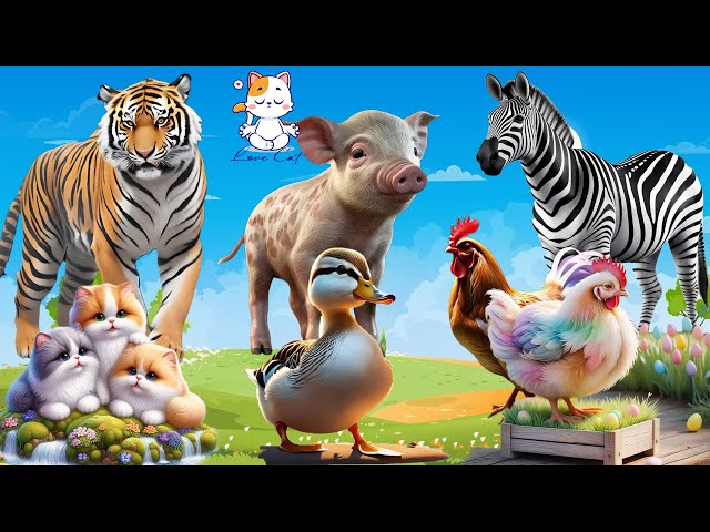 Happy Animal Moments, Familiar Animal Sounds: Zebra, Pig, Tiger, Cat, Duck, Chicken - Animal Videos