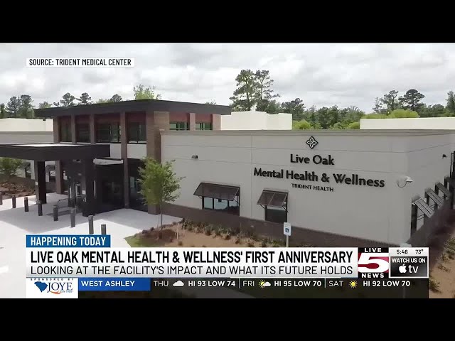 VIDEO: 1 year since opening of Lowcountry’s first mental health facility in 30 years