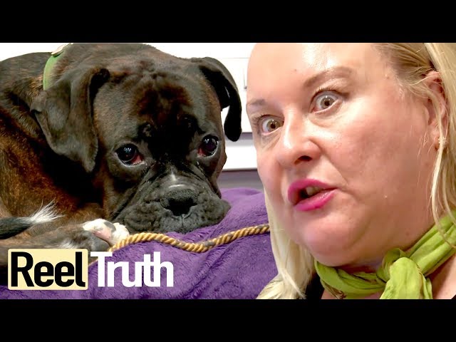 The Job Centre: Episode 2 | Full Documentary | Reel Truth