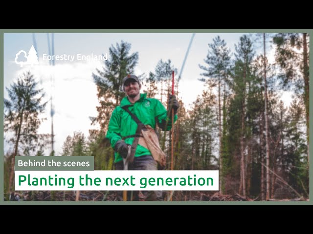 Planting the next generation of forest | Timber stories