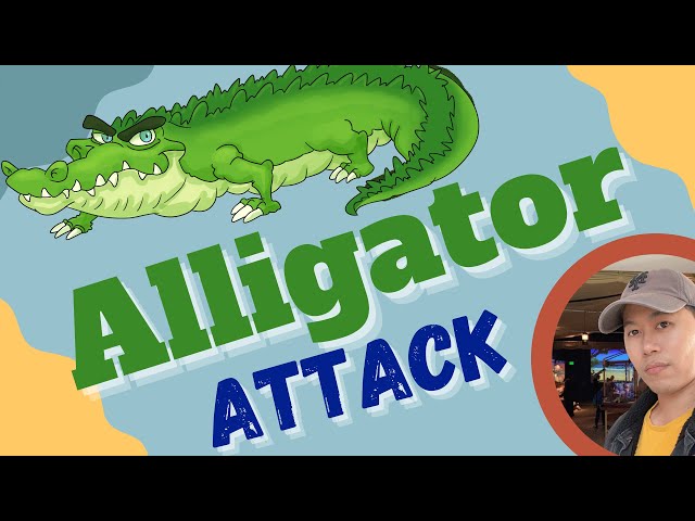 messy bestie hunt for alligator to eat in Florida | southern cuisine