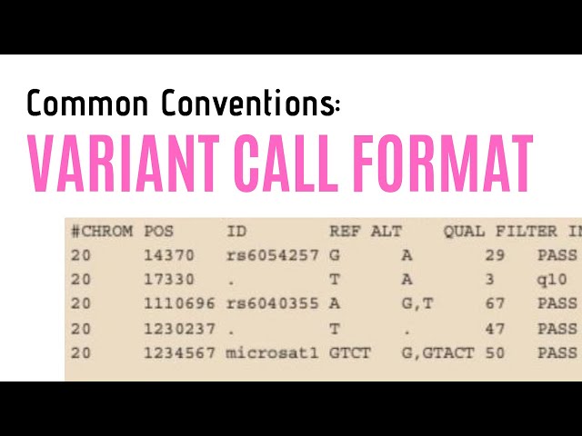 Variant Call Format | Common Conventions
