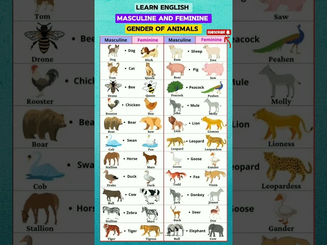 gander of animals ||Learn English ||#english #vocabulary #learning #animals