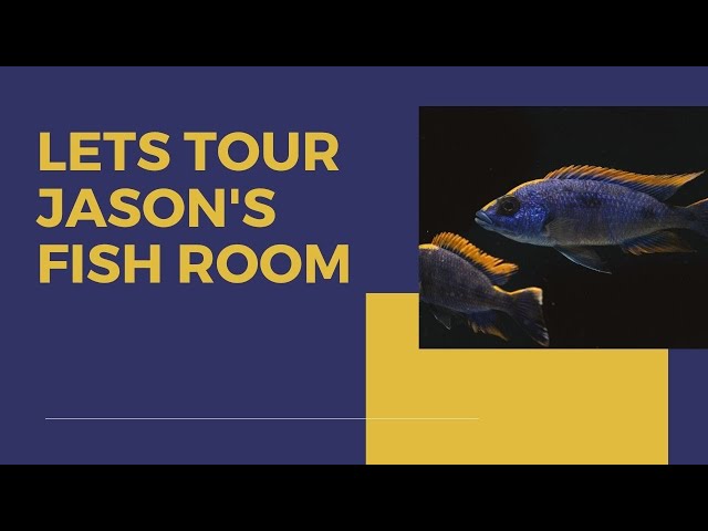 Jason’s Fish Room Tour