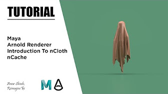 nCloth | Maya | Arnold