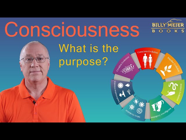 Consciousness, what is the purpose?
