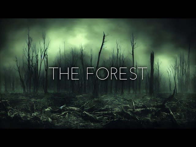 The Forest -  Dark Ambient Music - Creepy Atmospheric Relaxing Music