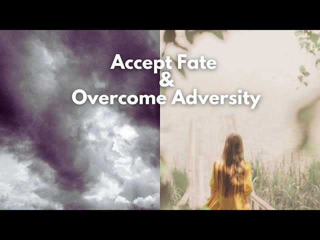 Stoic Philosophy for Modern Life: Accepting Fate & Overcoming Adversity