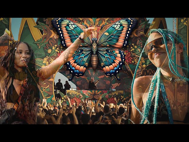 Vegas - Butterfly