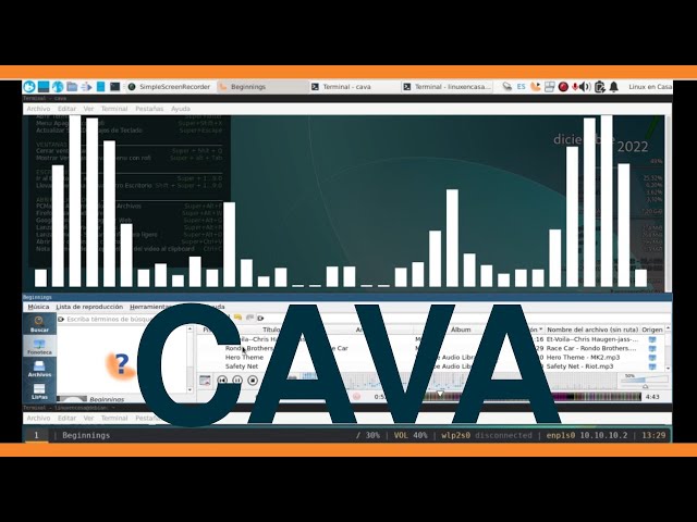 CAVA Cross-platform Audio Visualizer [Linux Debian 12]