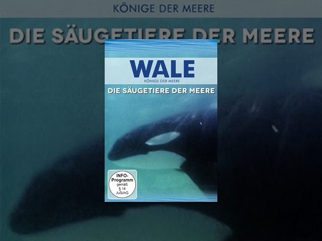 Wale - Die Säugetiere der Meere
