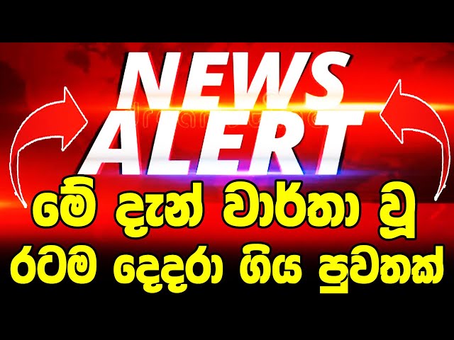 hiru sinhala |  BREAKING NEWS |  here is special news just received News   | ada derana sinhala ne