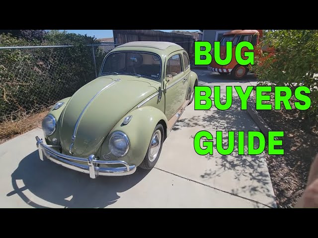 Classic VW BUG buyers guide what to know before you buy one