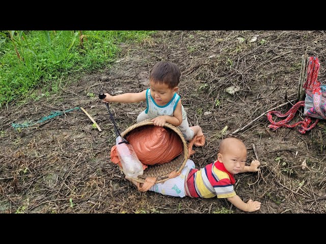 Mother and son grow rice on the hill