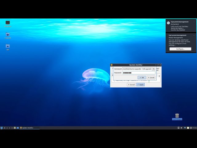 Detailed Review of Lubuntu 22.04 LTS with MSDOS Partitions+Swap to File+EXT4 FS