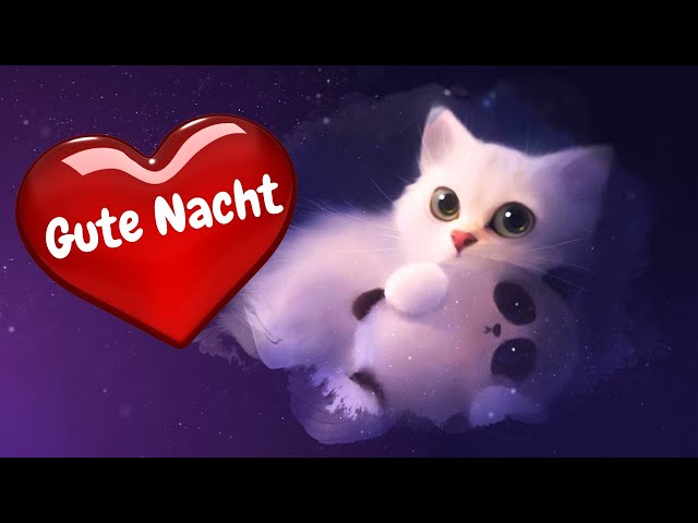 Gute Nacht Wünsche von süßen Katzen - niedliche Kätzchen schnurren ein Einschlaflied - Katzenvideo