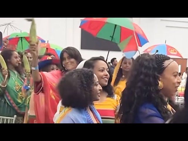 Eritrean 33rd Independence Day Houston Texas 2024 #habesha #habeshatiktok #eritrean