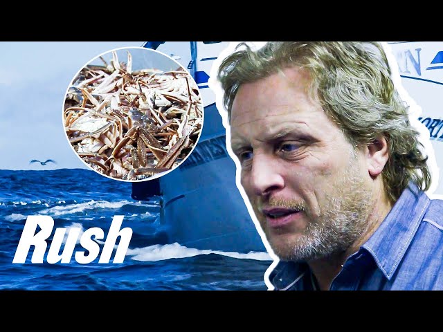 Sig Hansen’s Crew Locate OVER 90 Lbs Of Crab Despite Edgar’s Absence! | Deadliest Catch