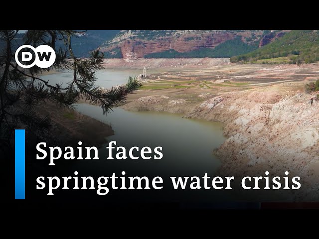 Catalonia has declared a state of emergency because of drought | Focus on Europe