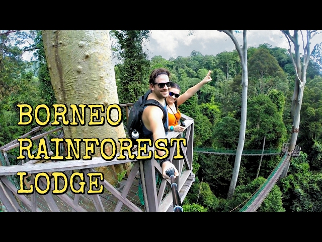 S2 E11: Wait. We have a BUTLER?! Borneo Rainforest Lodge, Malaysia Travel Guide