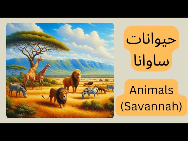 Beginner Persian (Farsi) Vocab & Writing: Savannah Animals (16 Essential Words) | حیوانات ساوانا