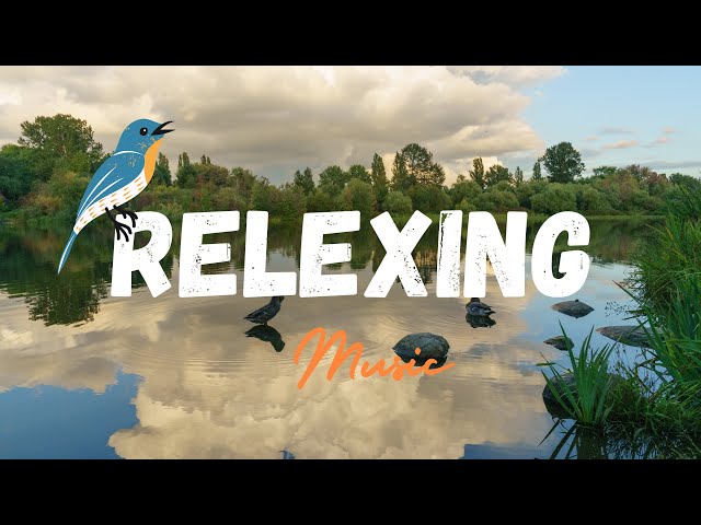 Relaxing, Stress Relief Piano Music With Birds Chriping Near River