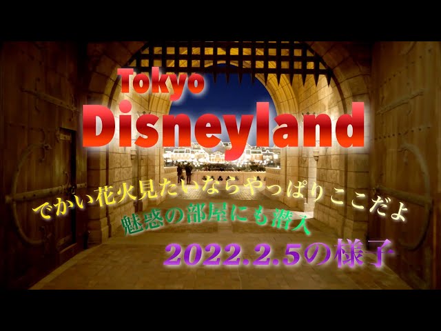 2022.2.5/ 東京ディズニーランドの様子    state of Tokyo Disneyland