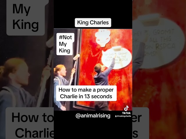 King Charles 13 second protest #notmyking #kingcharles #Animalrising #nokingcharlie