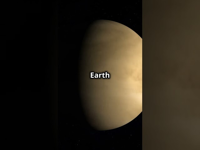 Venus: The Planet with the Longest Day #facts #fruitfuldiscoveries#shorts#youtubeshorts #viral #fyp