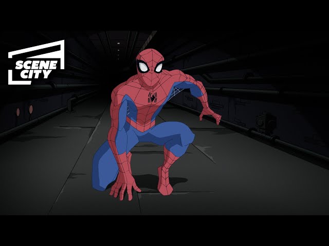 Spider-Man vs. Tombstone and Doc Ock | The Spectacular Spider-Man (2008)