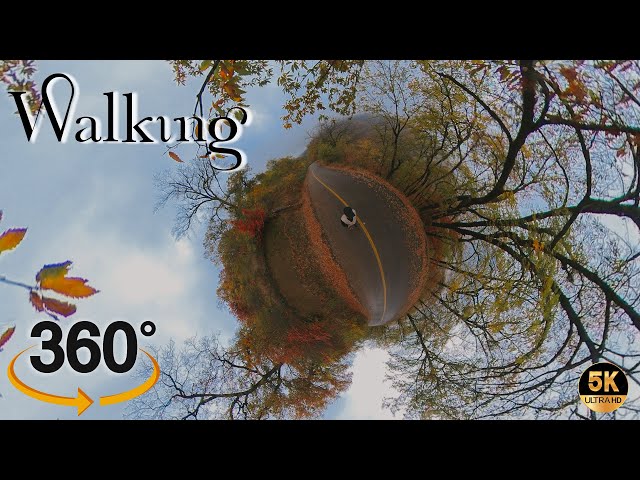 360° Video | Walking on the roads of the autumn forest | Walking in the jungle | IRAN 5K