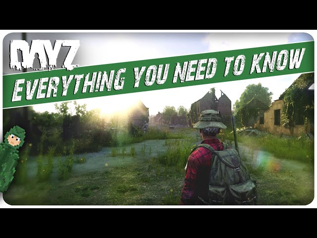 The ONLY Livonia Beginner Guide You'll Ever Need | DayZ | PS XBOX PC