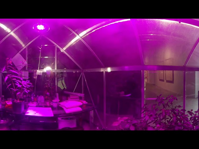 360 tour of a Butterfly Greenhouse at MOCA