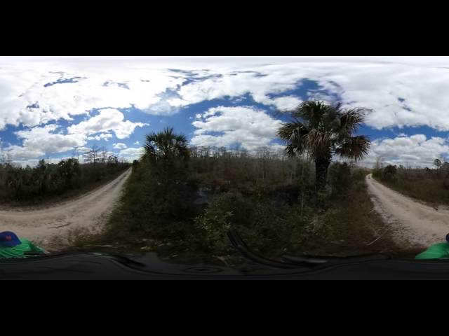 360 Degree Video - Find The Gator