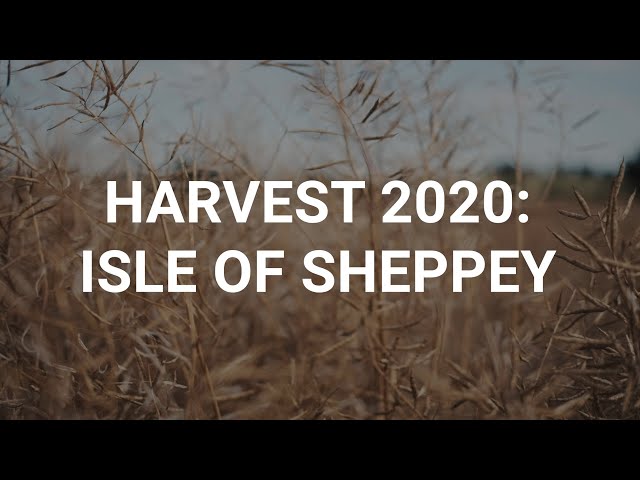 Harvest 2020: Isle of Sheppey