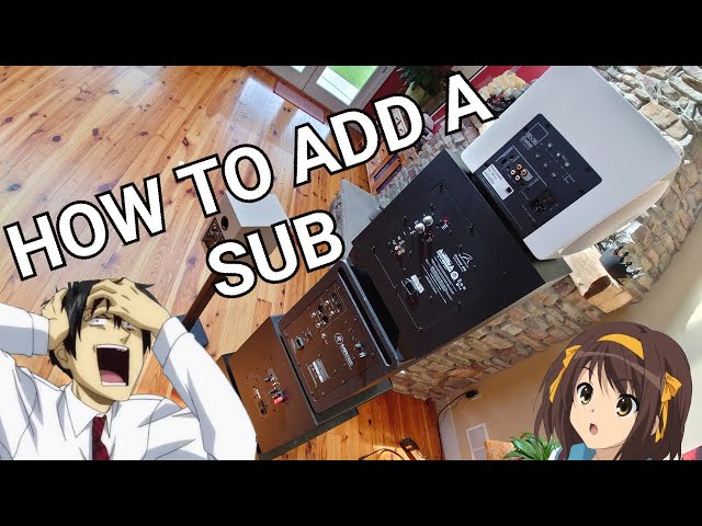 🟩MOST COMPREHENSIVE GUIDE TO ADDING A SUBWOOFER IN THE WORLD \\ Z Reviews