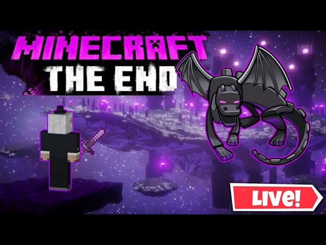 Finally End Fight 😈 End Of Public Smp | Minecraft live In Hindi 24/7 SMP | JAVA + PE #Minecraft #SMP