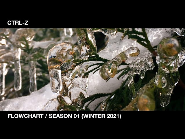 Ctrl-Z - Flowchart / Season 01 (Winter 2021)