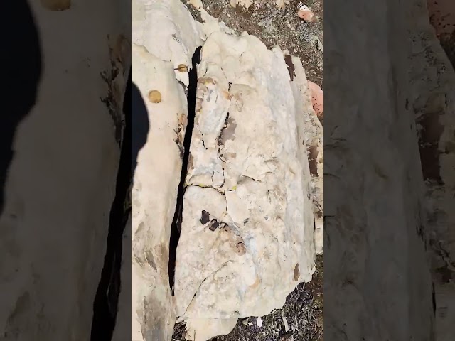 There's Something Strange in these Rocks (Topography)