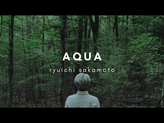 [1HR, Repeat] AQUA by Ryuichi Sakamoto l Beautiful Piano