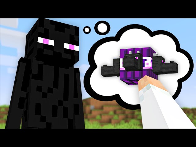 Minecraft But Anything Mobs Imagine, You Get...