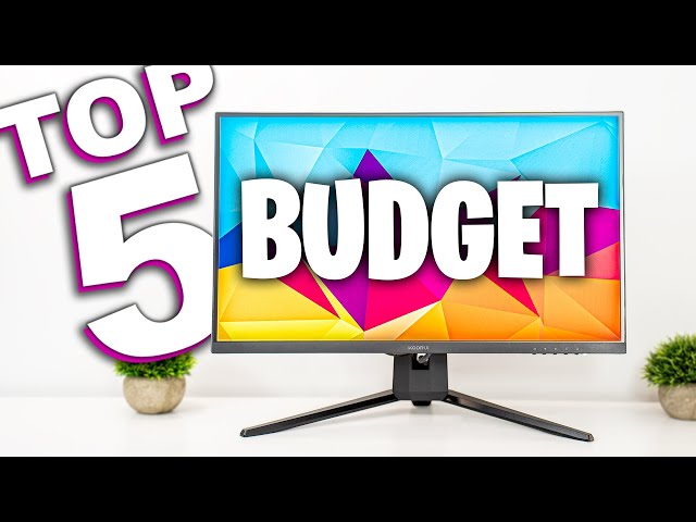 Top 5 Best Budget Gaming Monitor 2024