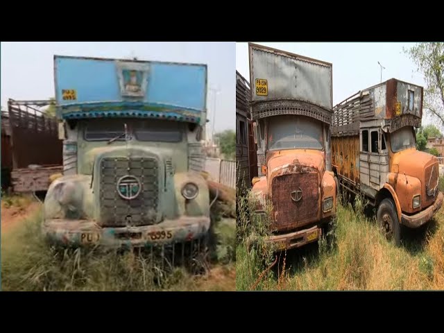 13 ट्रक एक साथ VIP नंबर के साथ। अलग-अलग मॉडल वह भी पुराने। vintage Tata truck