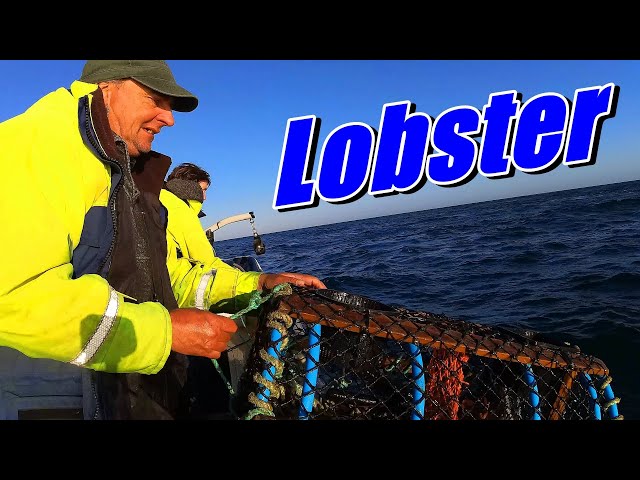 2 Days In One - Lobster Fishing