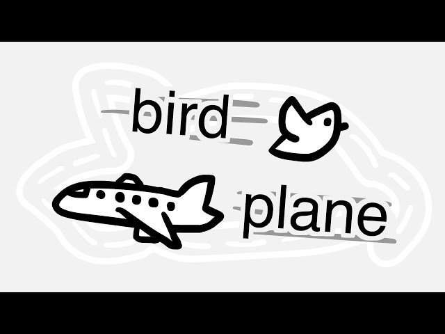 bird plane