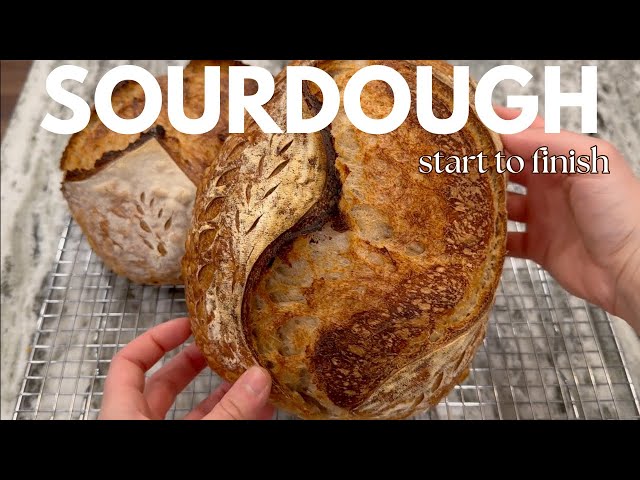 SOURDOUGH BREAD HOW-TO | from feeding my starter to baking some loaves