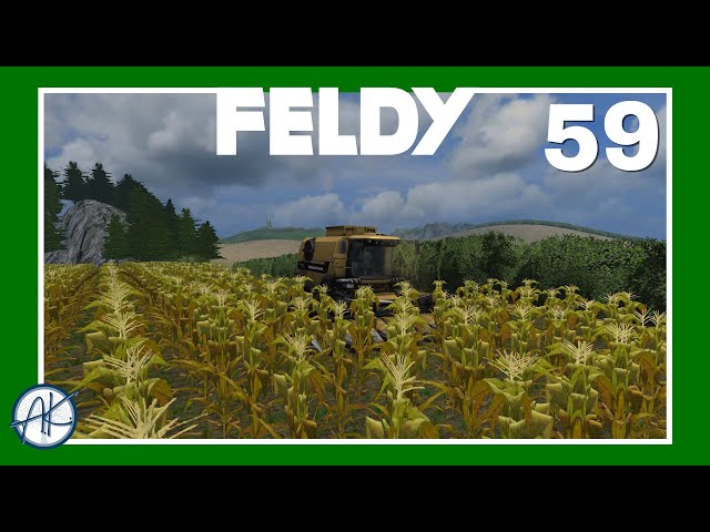 Let's Play | FS '11 | Feldy 59